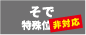 袖プリント不可 袖プリント不可